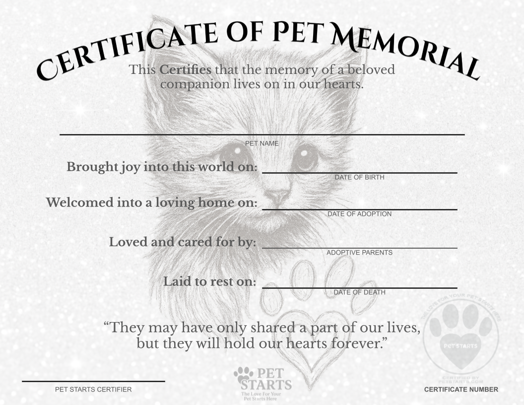 Whiskered Grace – Certificate of Pet Memorial (Cat Edition)